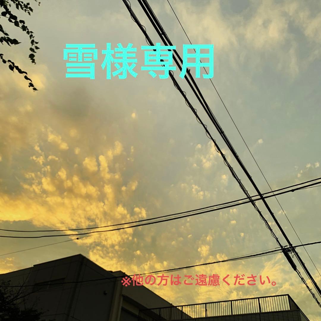 【専用】アニメイト・ステラ特典付 平安恋草子(cv.土門熱)