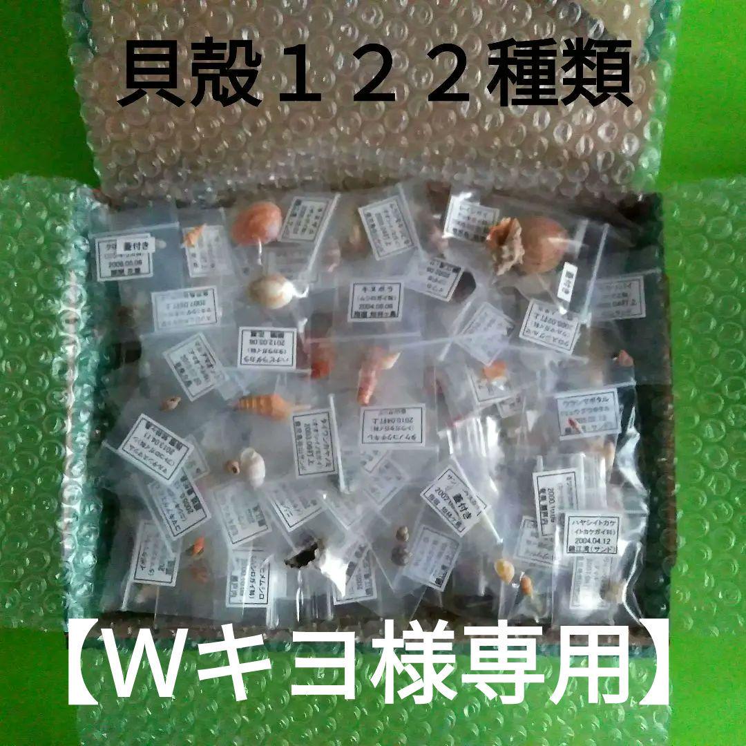 アンカー 碇 6種類 コレクション 壁掛け