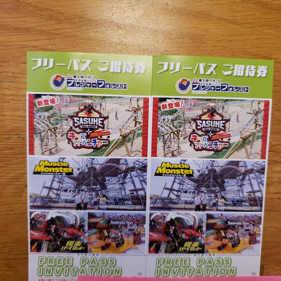さがみ湖プレジャーフォレスト フリーパス2枚セット