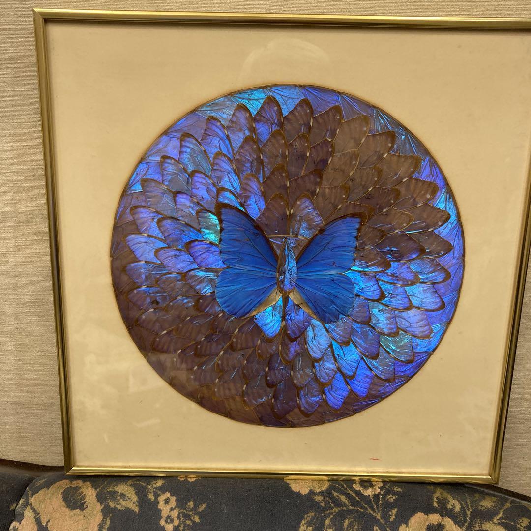 モルフォ蝶 貼り絵 アート